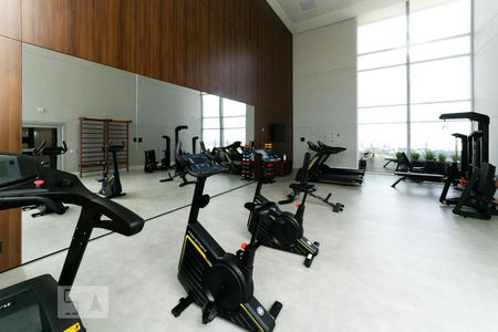 Academia de kitnet/studio para alugar com 1 quarto, 50m² em Vila Cruzeiro, São Paulo