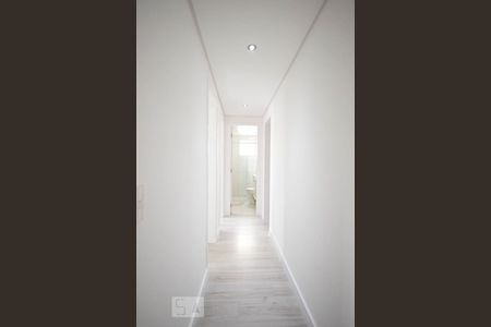 Corredor de apartamento para alugar com 3 quartos, 70m² em Paraíso do Morumbi, São Paulo