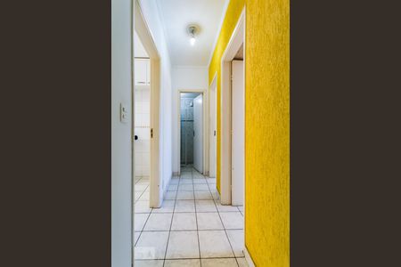 Corredor de apartamento para alugar com 2 quartos, 68m² em Jardim Proença I, Campinas
