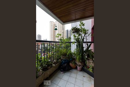 Apartamento para alugar com 3 quartos, 96m² em Vila Gomes Cardim, São Paulo