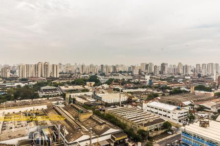Apartamento para alugar com 3 quartos, 100m² em Água Branca, São Paulo