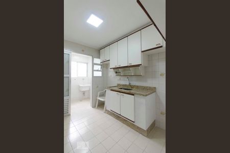Cozinha de apartamento para alugar com 2 quartos, 58m² em Jardim Santa Inês, São Paulo
