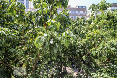 Vista sala de apartamento para alugar com 3 quartos, 100m² em Tijuca, Rio de Janeiro