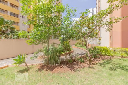 Apartamento para alugar com 55m², 2 quartos e 1 vaga Apartamento para alugar com 55m², 2 quartos e 1 vagaÁrea comum