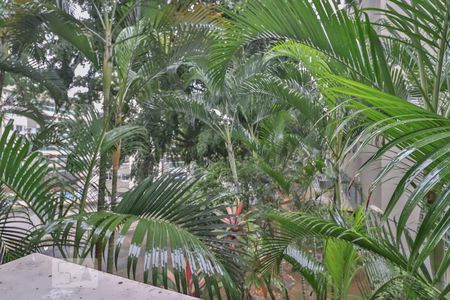 Apartamento à venda com 60m², 2 quartos e 1 vagaVista Quarto 02