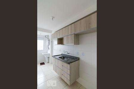 Cozinha de apartamento para alugar com 2 quartos, 55m² em Jardim Cristiane, Santo André