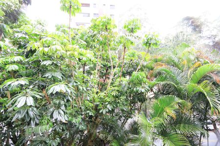 Vista de apartamento para alugar com 4 quartos, 143m² em Vila Andrade, São Paulo