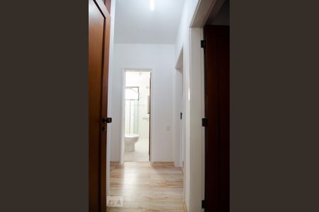 Corredor de apartamento à venda com 3 quartos, 97m² em Cambuí, Campinas