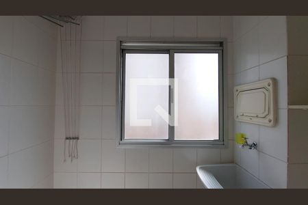 Área de Serviço de apartamento para alugar com 2 quartos, 50m² em Vila Moreira, São Paulo