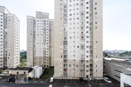 Vista de apartamento para alugar com 2 quartos, 50m² em Vila Moreira, São Paulo
