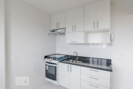 Cozinha de apartamento para alugar com 1 quarto, 40m² em Santa Terezinha, São Bernardo do Campo