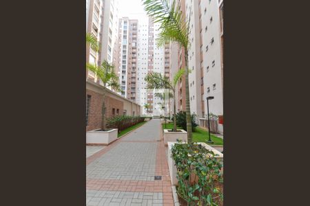 Apartamento à venda com 59m², 2 quartos e 2 vagas Apartamento à venda com 59m², 2 quartos e 2 vagasÁrea comum