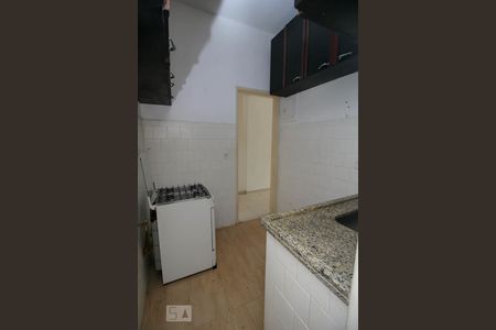 Apartamento para alugar com 56m², 1 quarto e sem vaga Apartamento para alugar com 56m², 1 quarto e sem vagaCozinha - Armários