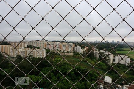 Vista de apartamento para alugar com 3 quartos, 129m² em Paraíso do Morumbi, São Paulo