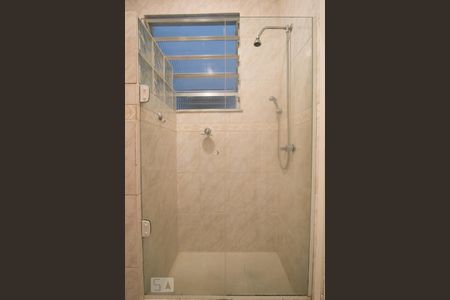 Box blindex de apartamento para alugar com 2 quartos, 56m² em Grajaú, Rio de Janeiro