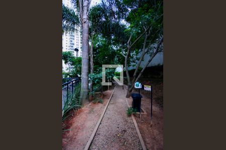 Apartamento para alugar com 65m², 2 quartos e 1 vagaEspaço Pet