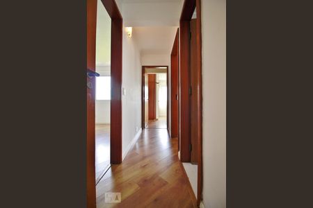 Corredor de apartamento para alugar com 3 quartos, 78m² em Jardim Bonfiglioli, São Paulo