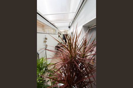 Apartamento à venda com 100m², 3 quartos e 2 vagasVista Quato 1