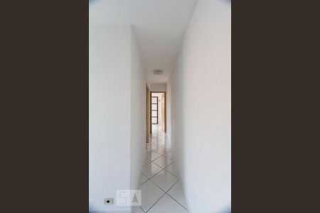 Corredor de apartamento para alugar com 2 quartos, 55m² em Vila do Encontro, São Paulo