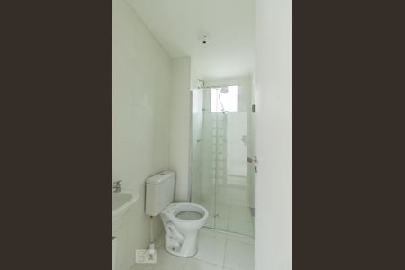 Banheiro Social de apartamento para alugar com 2 quartos, 43m² em Santa Amélia, Belo Horizonte