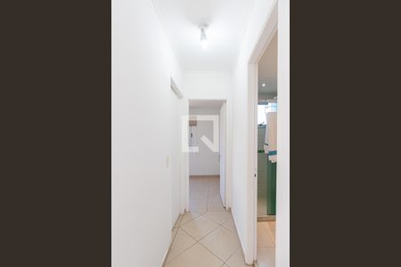 Corredor de apartamento para alugar com 2 quartos, 49m² em Vila Moreira, São Paulo