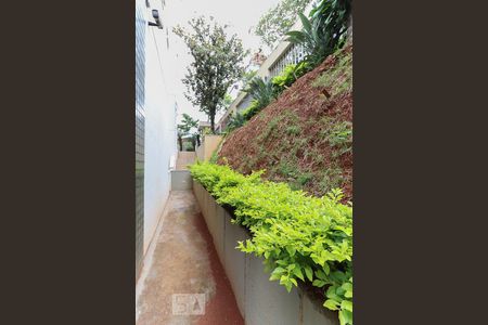 Apartamento para alugar com 82m², 3 quartos e 1 vaga Apartamento para alugar com 82m², 3 quartos e 1 vagaÁrea Comum