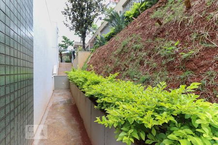 Apartamento para alugar com 82m², 3 quartos e 1 vaga Apartamento para alugar com 82m², 3 quartos e 1 vagaÁrea Comum