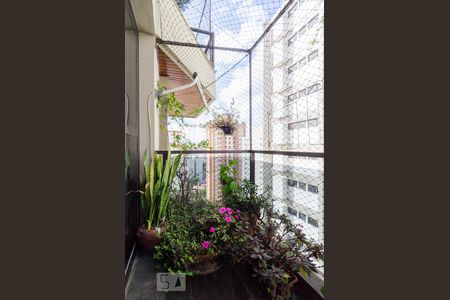 Varanda da Sala de apartamento para alugar com 4 quartos, 140m² em Centro, Santo André