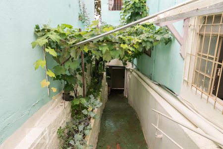 Casa à venda com 250m², 8 quartos e 4 vagasAcesso à Casa