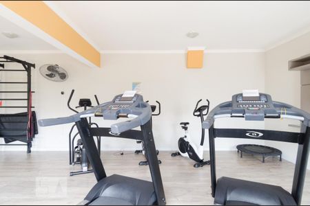 Academia de apartamento para alugar com 2 quartos, 54m² em Vila Príncipe de Gales, Santo André