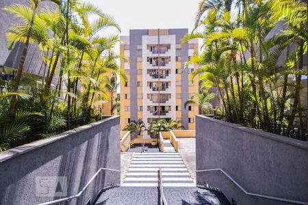 Apartamento para alugar com 67m², 3 quartos e 1 vaga Apartamento para alugar com 67m², 3 quartos e 1 vagaCondomínio de Prédios