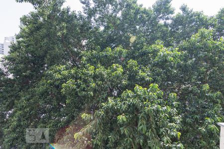 Apartamento à venda com 66m², 2 quartos e 1 vagaVista do Quarto 1