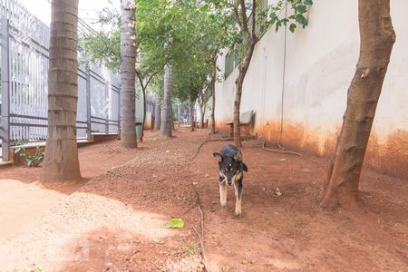 Apartamento à venda com 66m², 2 quartos e 1 vagaEspaço Pet