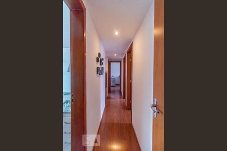 Corredor de apartamento à venda com 4 quartos, 120m² em Buritis, Belo Horizonte