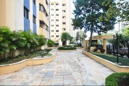 Apartamento à venda com 81m², 3 quartos e 3 vagasEntrada