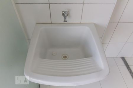Tanque da Área de Serviço de apartamento para alugar com 2 quartos, 52m² em Jardim Flor da Montanha, Guarulhos