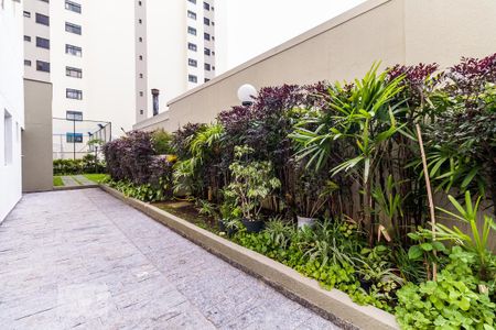 Apartamento para alugar com 65m², 2 quartos e 2 vagasÁrea externa