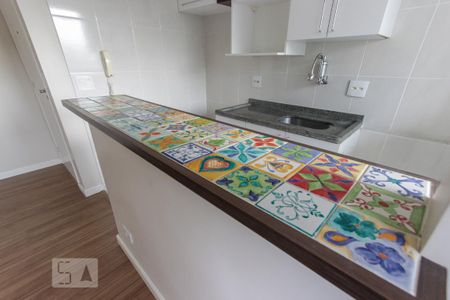 detalhe cozinha de apartamento para alugar com 2 quartos, 50m² em Butantã, São Paulo
