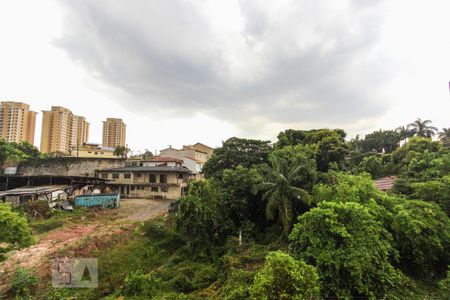 vista lavanderia de apartamento para alugar com 2 quartos, 50m² em Butantã, São Paulo