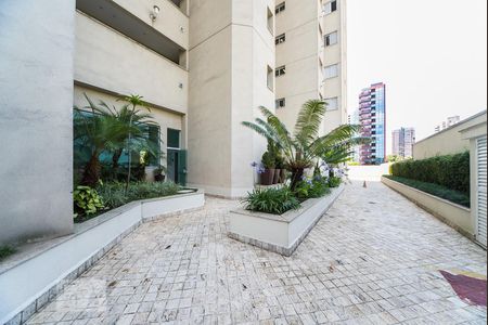Apartamento para alugar com 92m², 1 quarto e 3 vagas Apartamento para alugar com 92m², 1 quarto e 3 vagasPátio Externo