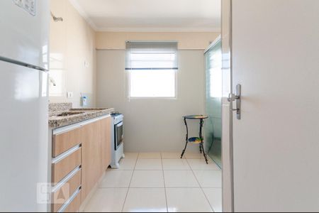 Cozinha de apartamento para alugar com 1 quarto, 45m² em Cambuí, Campinas