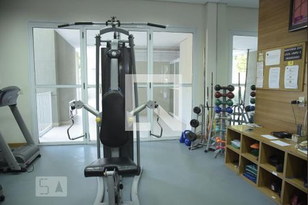 Apartamento para alugar com 70m², 3 quartos e 1 vaga Apartamento para alugar com 70m², 3 quartos e 1 vagaÁrea comum - Academia