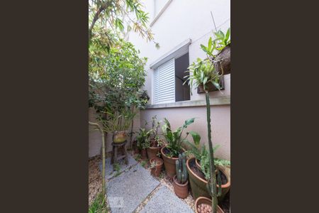 Quintal de apartamento à venda com 3 quartos, 76m² em Loteamento Center Santa Genebra, Campinas