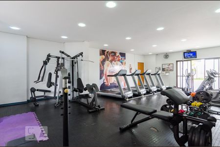 Apartamento à venda com 64m², 3 quartos e 2 vagas Apartamento à venda com 64m², 3 quartos e 2 vagasAcademia