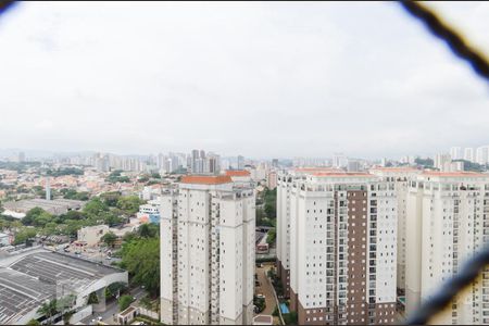 Vista da Varanda da Sala de apartamento para alugar com 3 quartos, 64m² em Nova Petrópolis, São Bernardo do Campo
