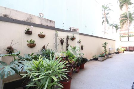 Apartamento para alugar com 82m², 3 quartos e 1 vagaÁrea comum