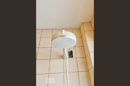 Apartamento para alugar com 62m², 1 quarto e sem vagaChuveiro