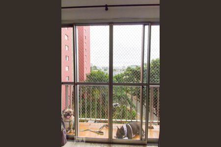 Varanda da Sala de apartamento para alugar com 2 quartos, 105m² em Jardim das Laranjeiras, São Paulo