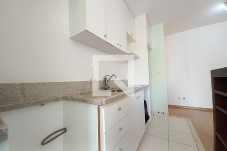 Cozinha  de apartamento para alugar com 1 quarto, 40m² em Cambuí, Campinas