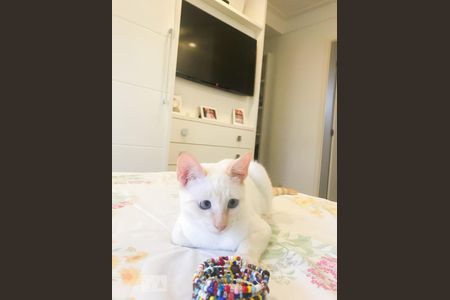 Suíte 1 de apartamento para alugar com 3 quartos, 134m² em Aclimação, São Paulo